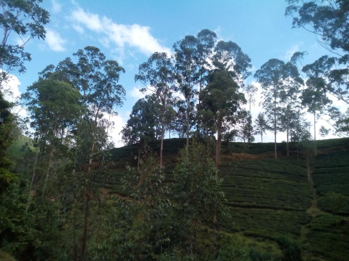 Lily Adam'S Peak Bed & Breakfast Nallathanniya Dış mekan fotoğraf