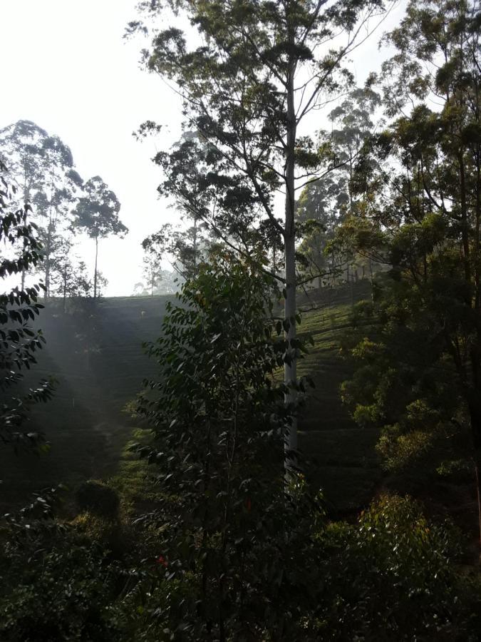 Lily Adam'S Peak Bed & Breakfast Nallathanniya Dış mekan fotoğraf